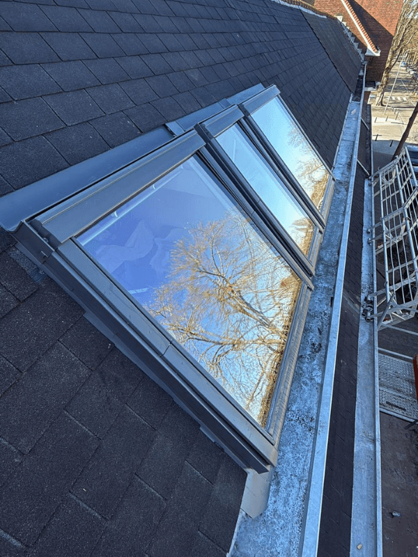 Dakraam met boomreflectie op woning